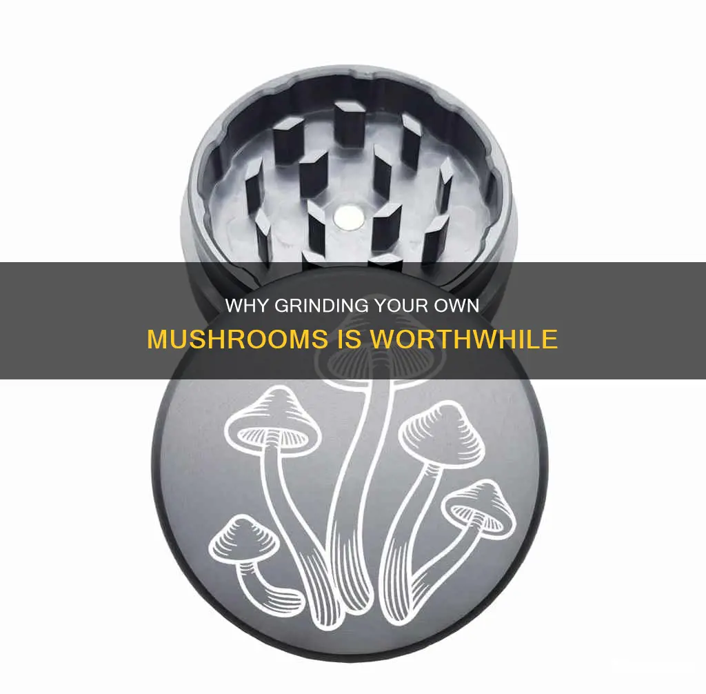 should you grind psybosilic mushroom