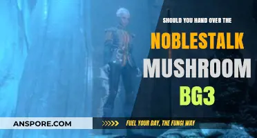 Should You Hand Over the Noblestalk Mushroom in Baldur's Gate 3?
