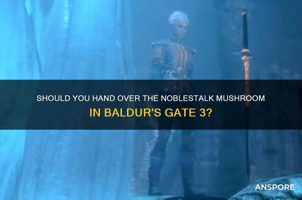 should you hand over the noblestalk mushroom bg3