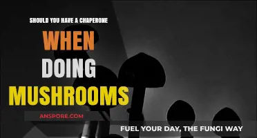 Mushroom Trips: Why a Chaperone Could Be Your Safest Bet