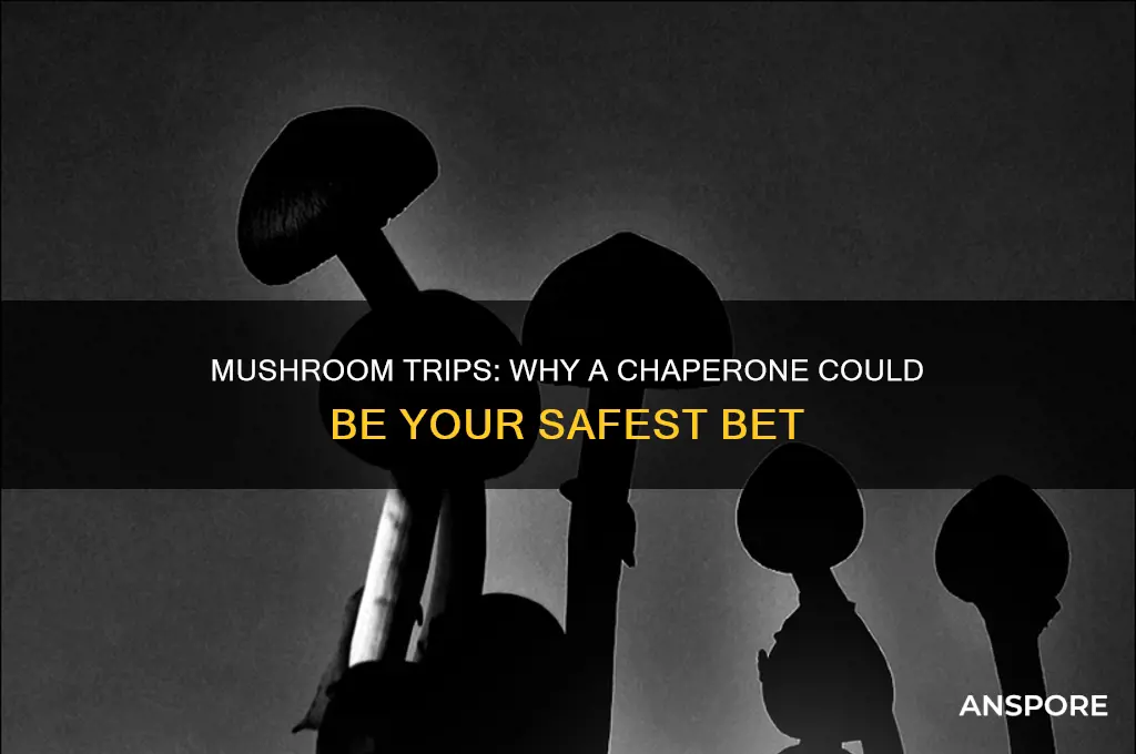 should you have a chaperone when doing mushrooms