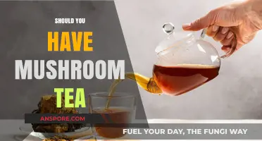 Mushroom Tea: Healthy Brew or Just a Fad?