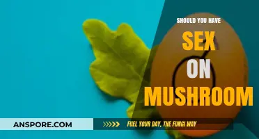 Exploring Intimacy: Should You Have Sex on Mushrooms?