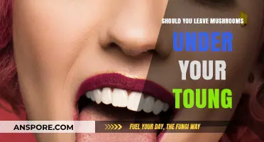 Should You Leave Mushrooms Under Your Tongue? Exploring the Trend