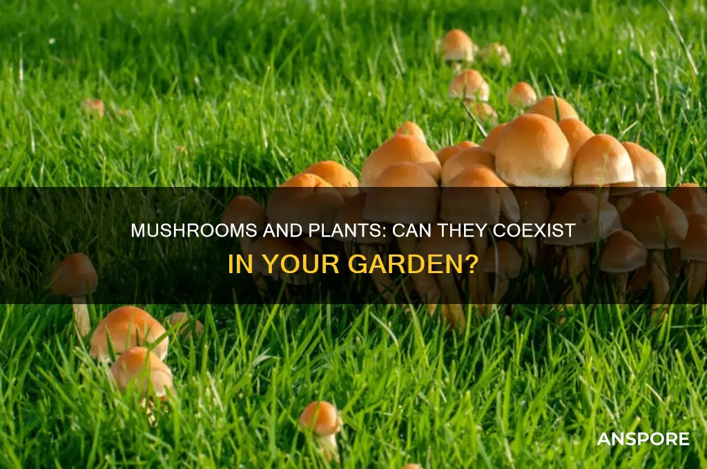 should you let mushrooms grow with other plants
