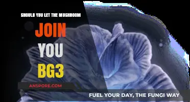 Should You Let the Mushroom Join Your BG3 Party?