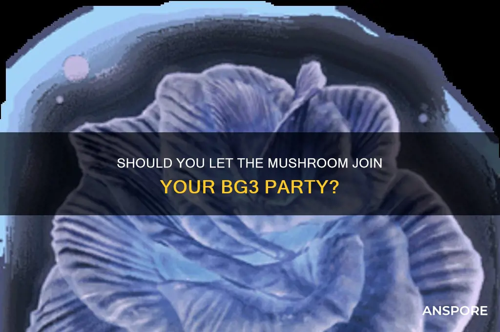 should you let the mushroom join you bg3