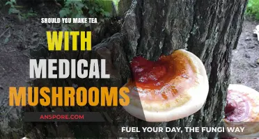 Brewing Benefits: Should You Add Medicinal Mushrooms to Your Tea?