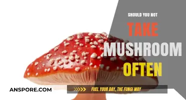 Mushroom Moderation: Why Frequent Consumption May Not Be Ideal