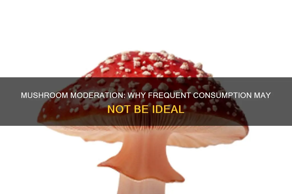 should you not take mushrooms often