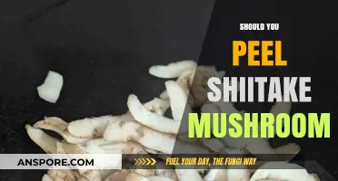 Shiitake Mushrooms: To Peel or Not to Peel?