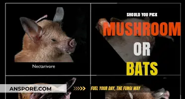 Mushrooms vs. Bats: Which Unique Organism Should You Choose?