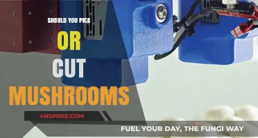 Picking vs. Cutting Mushrooms: Best Practices for Harvesting Safely