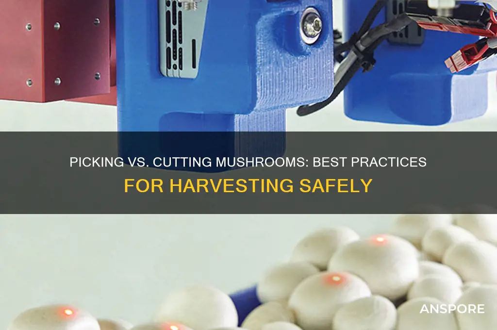 should you pick or cut mushrooms
