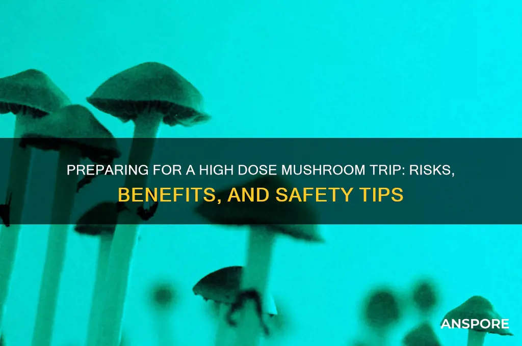should you prepare for a high dose mushroom trip