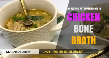 Mushrooms in Chicken Bone Broth: Benefits, Flavor, and Best Practices