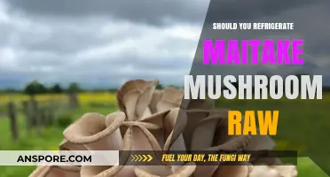 Should You Refrigerate Maitake Mushrooms Raw? Storage Tips Revealed