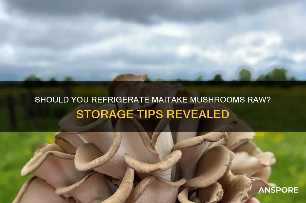 should you refrigerate maitake mushrooms raw
