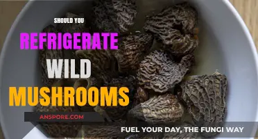 Wild Mushroom Storage: Fridge or Pantry?