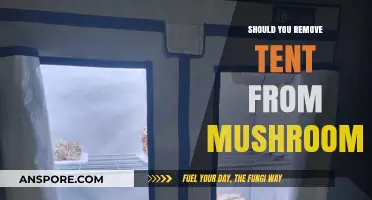 Should You Remove Mushroom Tent: Pros, Cons, and Best Practices