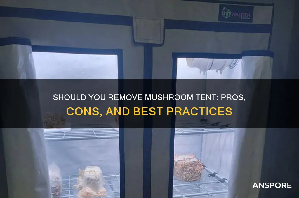 should you remove tent from mushrooms