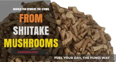 To Stem or Not: Shiitake Mushroom Prep Tips Revealed