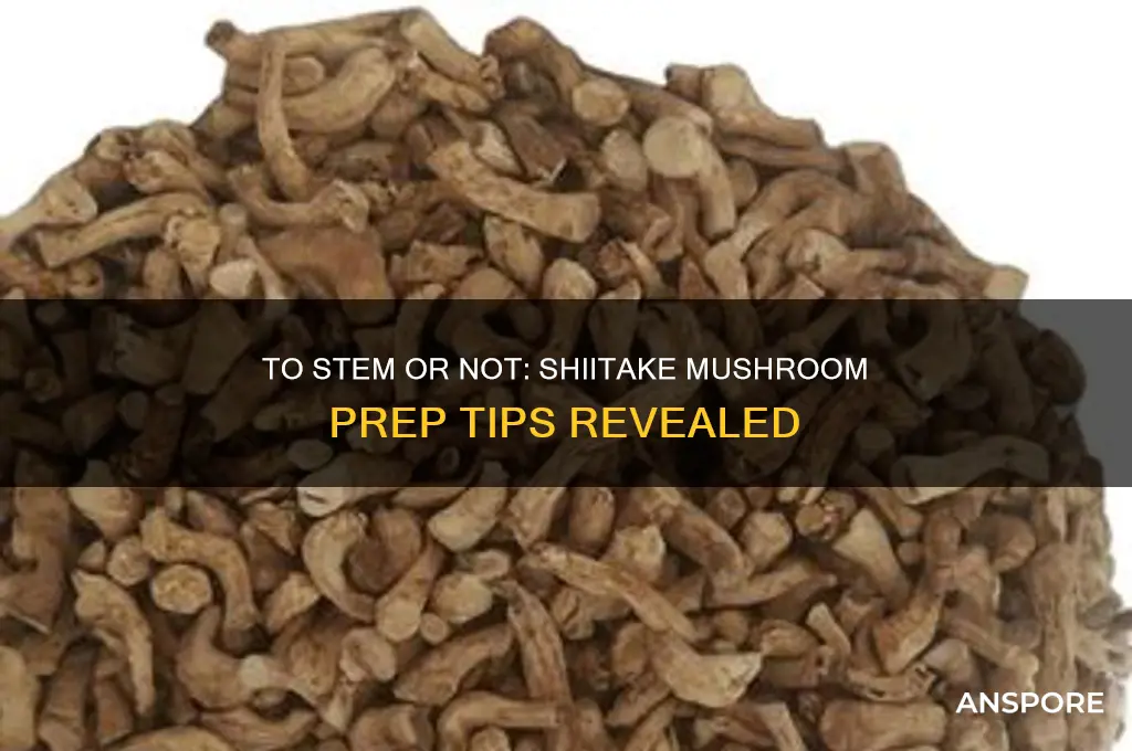 should you remove the stems from shiitake mushrooms