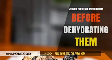 Rinse or Not? Prepping Mushrooms for Dehydration: A Guide