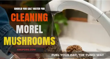 Salting Water for Morel Mushrooms: Cleaning Myth or Must-Do?