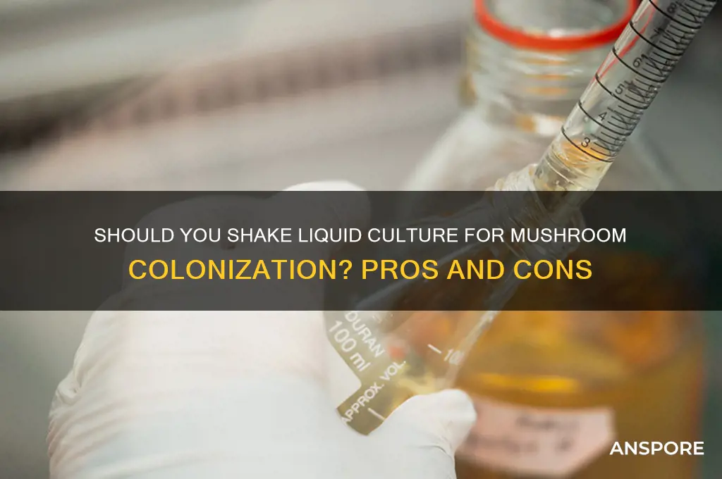 should you shake your liquid culture while colonizing mushrooms