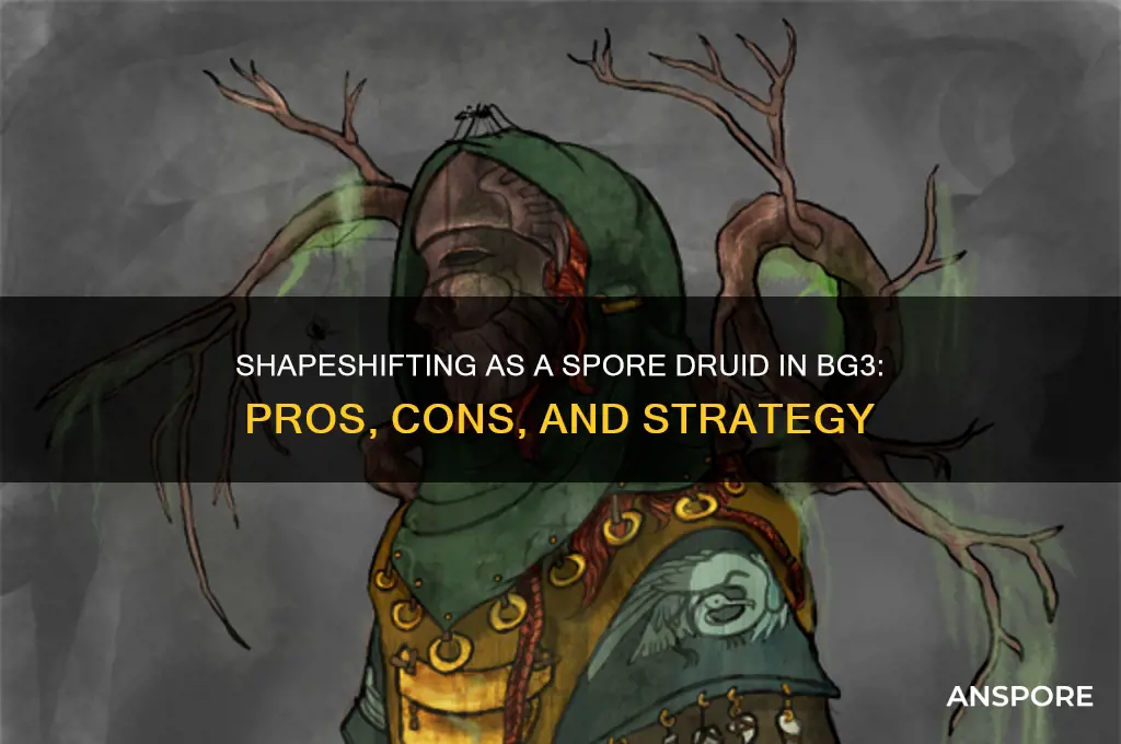 should you shapeshift as spore druid bg3