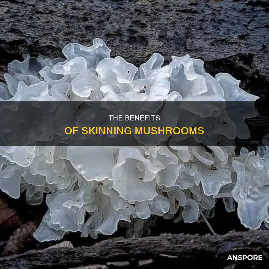 should you skin mushrooms