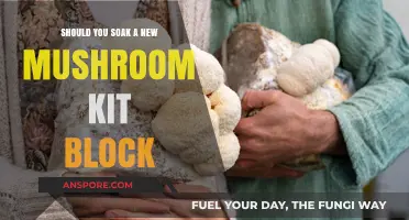Should You Soak Your New Mushroom Kit Block? Pros and Cons