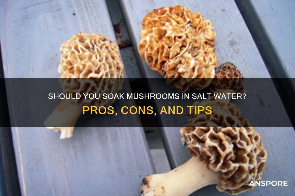 should you soak mushrooms in salt water
