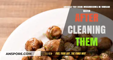 Vinegar Soak for Mushrooms: Post-Cleaning Essential or Unnecessary Step?