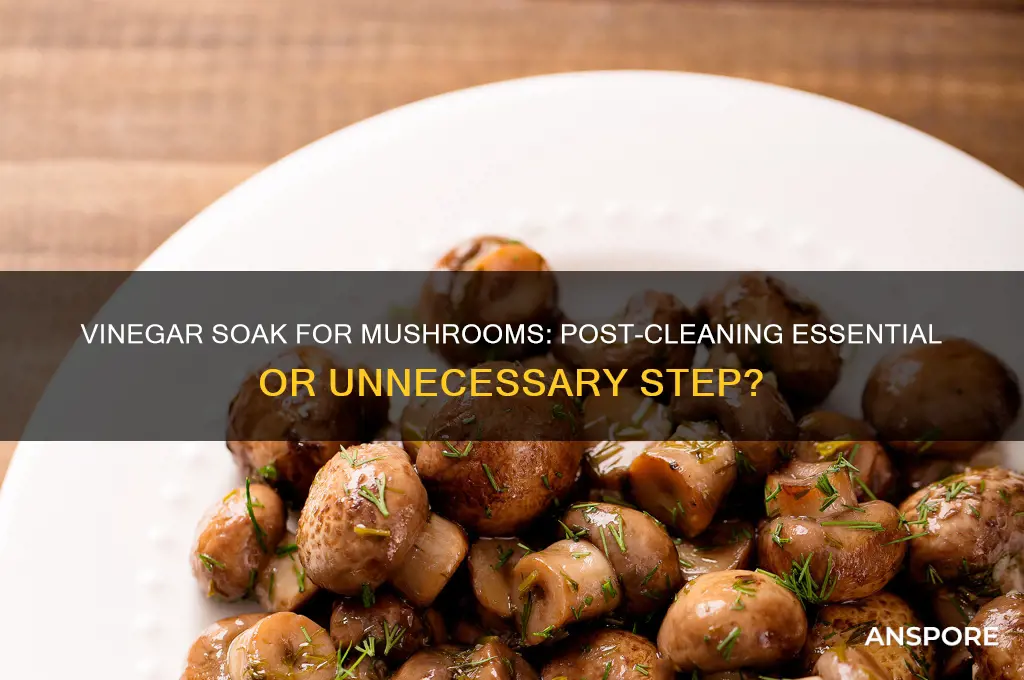 should you soak mushrooms in vinigar water after cleaning them