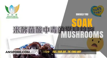 The Secret to Soaking Mushrooms: Why and How?