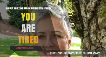 Should You Take Magic Mushrooms When Exhausted? Risks and Considerations