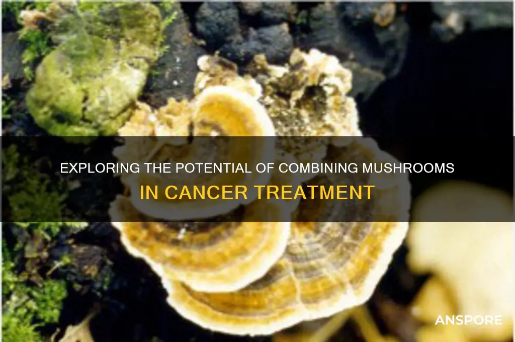 should you take multiple mushrooms for cancer
