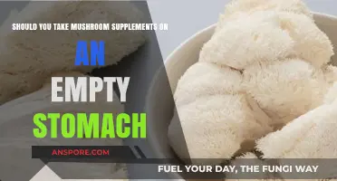 Mushroom Supplements: Empty Stomach Benefits or Better with Food?