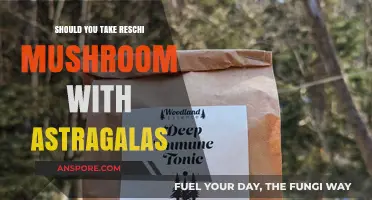Reishi and Astragalus: A Powerful Combo or Risky Mix?