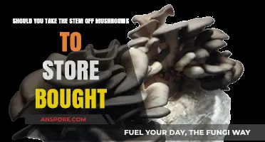 Should You Remove Mushroom Stems Before Storing Store-Bought Mushrooms?