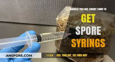 Using Credit Cards for Spore Syringes: Risks and Considerations
