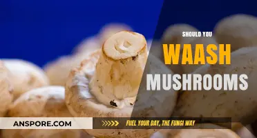 Washing Mushrooms: To Rinse or Not to Rinse?