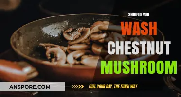 Washing Chestnut Mushrooms: To Wash or Not to Wash?