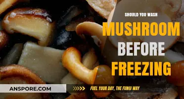 Should You Wash Mushrooms Before Freezing? Tips and Best Practices
