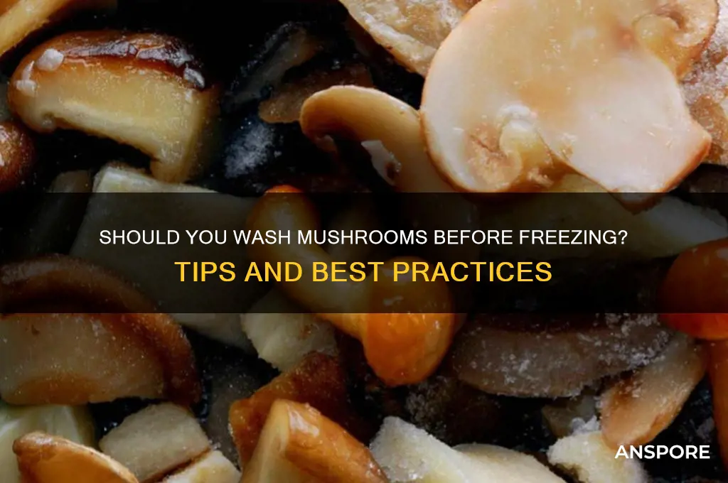 should you wash mushrooms before freezing