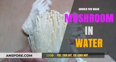 Should You Wash Mushrooms in Water? The Ultimate Cleaning Guide