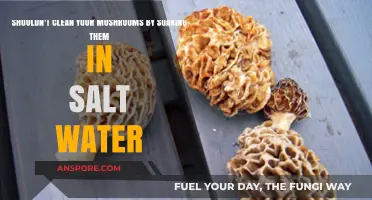 Why Soaking Mushrooms in Salt Water Ruins Their Flavor and Texture