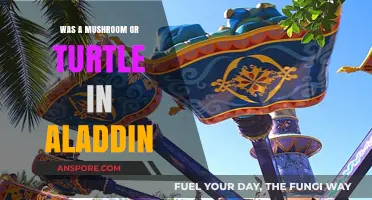 Aladdin's Mystery: Mushroom or Turtle in the Magic Carpet Ride?